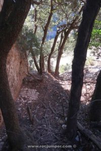 Rápel 50 m árbol - Vía Esquivabolas - Cajoleta - Montserrat - RocJumper