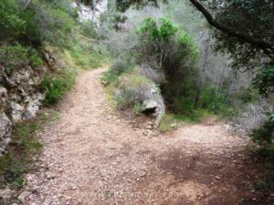 Bifurcación - Vía Ferrata Castellot - Castellví de la Marca - RocJumper