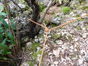 Cuerda fija - Vía Ferrata Castellot - Castellví de la Marca - RocJumper