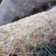 035 Via Manyos Prenyada Sant Benet Montserrat Rocjumper