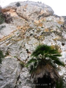 Pie de Pared - Vía Ferrata Castellot - Castellví de la Marca - RocJumper