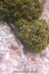 Árbol Largo 4 - Vía Manyos - La Prenyada - Montserrat