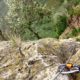 050 Via Ferrata Castellot Castellvi Marca Rocjumper