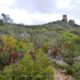 068 Via Ferrata Castellot Castellvi Marca Rocjumper