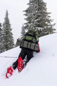 Levantarse Raquetas de Nieve