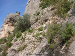 Llegando inicio de vía bilibet - Serrat d'en Muntaner - Montserrat - RocJumper