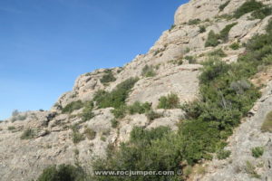 Dracera de Fra Garí - Vía Variante de la Canal - Codolosa - Montserrat - RocJumper