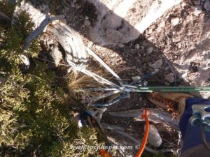 Reunión Largo 2 - Vía Aresta Brucs Ajaguga del Torrent del Misser - Montserrat - RocJumper