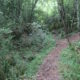 009 Via Easy Indian Trail Agullon Sant Miquel Serra Picancel Vilada Rocjumper