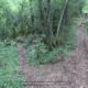 010 Via Easy Indian Trail Agullon Sant Miquel Serra Picancel Vilada Rocjumper