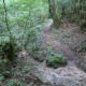 015 Via Easy Indian Trail Agullon Sant Miquel Serra Picancel Vilada Rocjumper