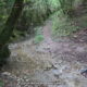 017 Via Easy Indian Trail Agullon Sant Miquel Serra Picancel Vilada Rocjumper