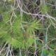 040 Via Aresta Srg Creu Montmell Juncosa Montmell Rocjumper