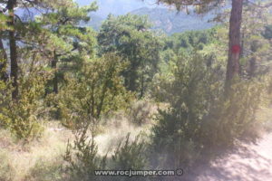 Bajada a pista - Barranco de l'Espunya o Torrent de Gol - RocJumper