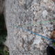 021 Via Nautilus Montgros Montserrat Rocjumper