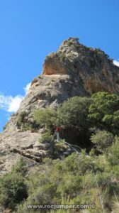 R4 árbol - Aresta Ribes - Vidal - Roca Regina - Terradets - RocJumper