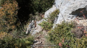 Descenso cable - Coll Roig - Montgrony - RocJumper