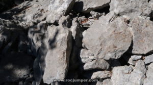Piedras sicadas - Coll Roig - Montgrony - RocJumper