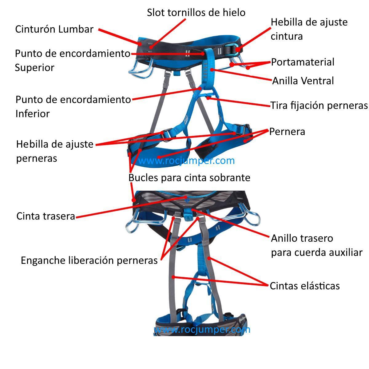 Cómo son los arneses de seguridad y cuántos tipos hay?