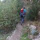 10 Camino Equipado Agulla Gos Collegats Rocjumper