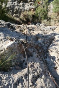 Cuerdas Anudadas - Vía Ferrata Pared del Pessó - Collegats