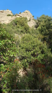 Desvío sendero - Vía Traca i Mocador - Serrat d'en Muntaner Inferior - Montserrat - RocJumper