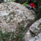 014 Torrent Balaguer Torrent Cavall Bernat Montserrat Rocjumper