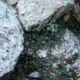 016 Torrent Balaguer Torrent Cavall Bernat Montserrat Rocjumper