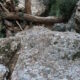 017 Torrent Balaguer Torrent Cavall Bernat Montserrat Rocjumper