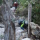 018 Torrent Balaguer Torrent Cavall Bernat Montserrat Rocjumper