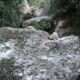 019 Torrent Balaguer Torrent Cavall Bernat Montserrat Rocjumper