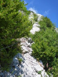 Vía Ferrata Lizara - Aragüero del Puente - RocJumper