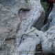 023 Torrent Balaguer Torrent Cavall Bernat Montserrat Rocjumper