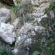 026 Torrent Balaguer Torrent Cavall Bernat Montserrat Rocjumper