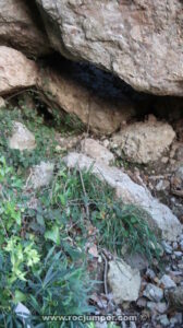 Cuerda Anudada 5 - Torrent del Balaguer - Montserrat - RocJumper