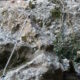 031 Torrent Balaguer Torrent Cavall Bernat Montserrat Rocjumper