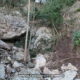 032 Torrent Balaguer Torrent Cavall Bernat Montserrat Rocjumper