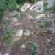 033 Torrent Balaguer Torrent Cavall Bernat Montserrat Rocjumper
