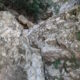 042 Torrent Balaguer Torrent Cavall Bernat Montserrat Rocjumper