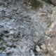 043 Torrent Balaguer Torrent Cavall Bernat Montserrat Rocjumper