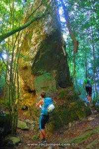 Bifurcación - Escletxes de avencots - Mussara - RocJumper