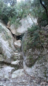 Árbol caído - Torrent del Balaguer - Montserrat - RocJumper