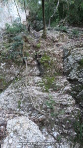 Árbol caído - Torrent del Balaguer - Montserrat - RocJumper