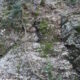 057 Torrent Balaguer Torrent Cavall Bernat Montserrat Rocjumper
