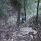 058 Torrent Balaguer Torrent Cavall Bernat Montserrat Rocjumper