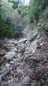 Resaltes - Torrent del Balaguer - Montserrat - RocJumper
