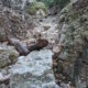 062 Torrent Balaguer Torrent Cavall Bernat Montserrat Rocjumper