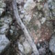 063 Torrent Balaguer Torrent Cavall Bernat Montserrat Rocjumper