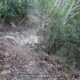 066 Torrent Balaguer Torrent Cavall Bernat Montserrat Rocjumper