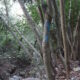 068 Torrent Balaguer Torrent Cavall Bernat Montserrat Rocjumper